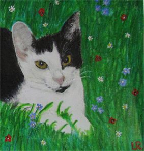 Daisy, 15x21cm Aquarellstifte auf Skizzenblock